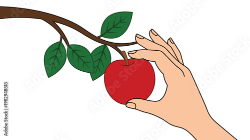 Hand reaching to pick a fresh red apple from a tree branch. Simple vector illustration perfect for healthy food, nature, or harvest themes