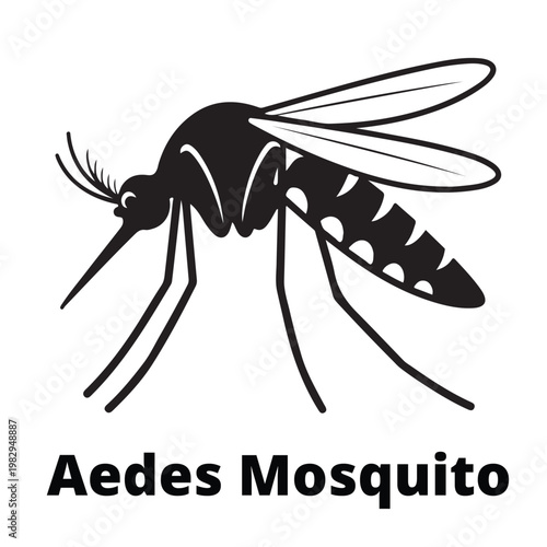 Stylized black and white graphic illustration of an Aedes mosquito with distinctive stripes for health awareness and pest icons.