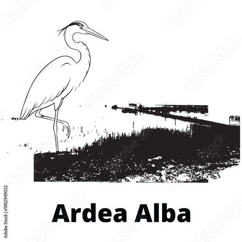 Artistic black and white line art illustration of a Great Egret (Ardea Alba) standing in a wetland marshland environment.