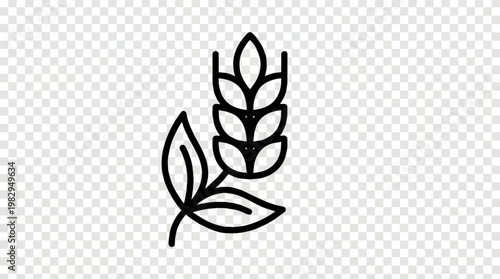 Wheat stalk silhouette illustration isolated white background.