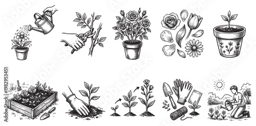 A hand-drawn collection of illustrations depicting various stages of gardening, from planting and watering to pruning and growth.