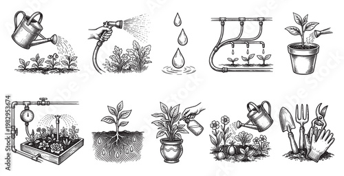 Collection of hand-drawn illustrations showcasing various garden watering techniques from manual watering to drip irrigation, representing growth and care.