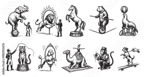 This vintage illustration features a collection of circus animals and performers demonstrating various acts, including an elephant balancing on a ball, a lion jumping through a hoop.