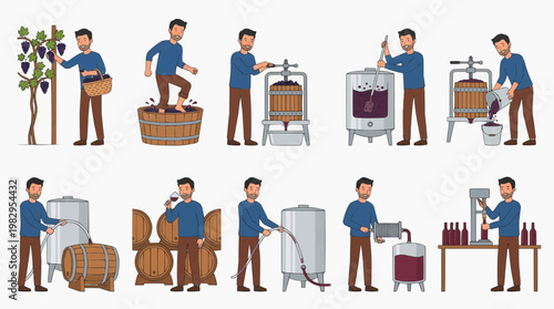Illustration of wine production steps, showcasing the process from grape harvest to bottling