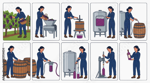 The complete winemaking process, from harvesting grapes to bottling wine