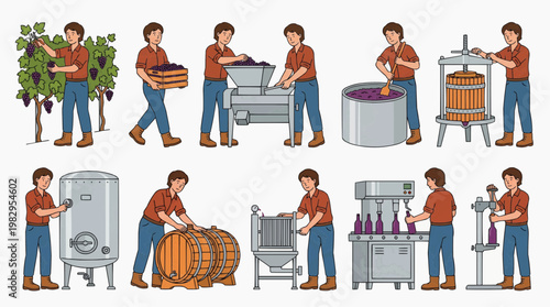The meticulous winemaking process, from harvesting grapes to bottling