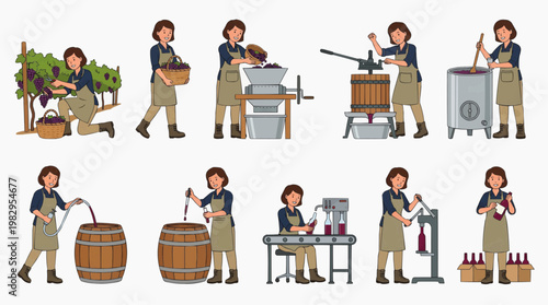 Steps of winemaking. A series of illustrations showing the winemaking process, from harvesting grapes to bottling