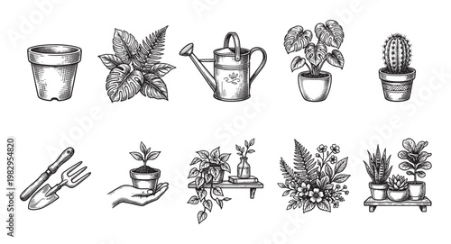 A collection of hand-drawn vintage garden elements including pots, plants, and tools, perfect for design projects and illustrating botanical themes.