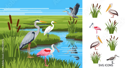 Wetland Birds Collection: Herons, Pelicans, Spoonbill, and Seagull Icons