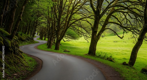 Winding country road through a lush green forest with mossy trees and bright sunlight filtering through the canopy creating a serene natural landscape.