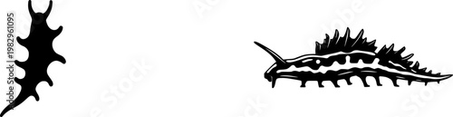 A solitary Blue Glaucus Sea Slug stands alone in an ethereal tableau, its silver and blue wing-shaped body contrasting sharply against the pristine white backdrop