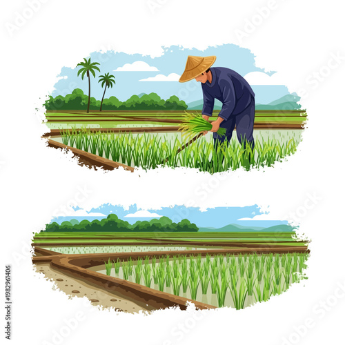 農夫が稲を植えるために田んぼで作業している様子を描いたイラストです。