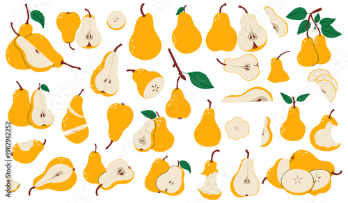 Collection of yellow pears: whole fruits, halves, slices and bitten pieces. Perfect for food packaging design, kitchen decor, healthy lifestyle blogs and autumn graphics. Set of vector illustrations 