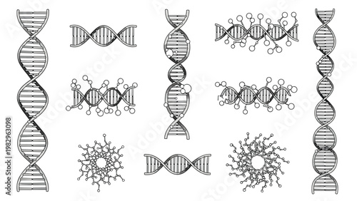 Scientific collection of DNA double helix structures and molecular genetic strands shown in detailed line art drawings.