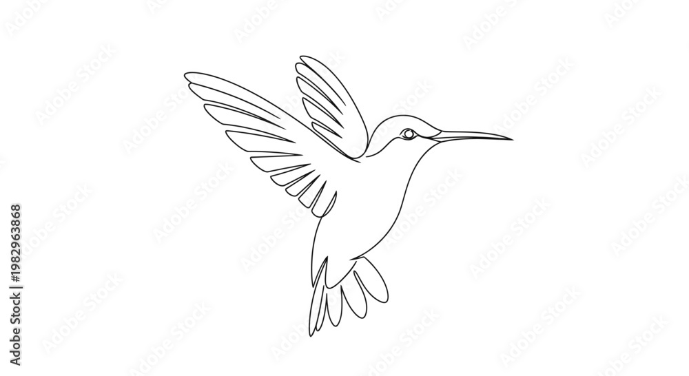 Fototapeta premium Elegant Hummingbird Line Art Minimalist Design.