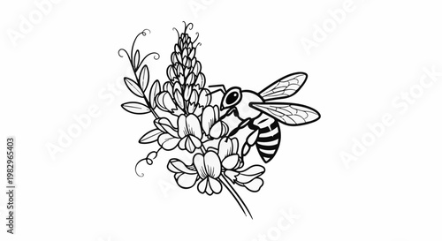 A bee pollinates a cluster of flowers with winding vines against a white background