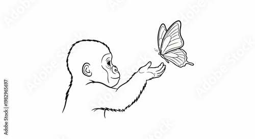 A baby gorilla reaches out to a butterfly