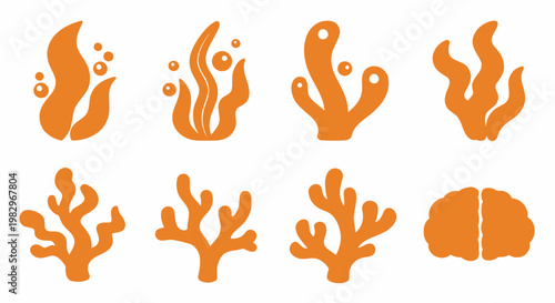 Set of Orange Coral and Seaweed Icons on White Background