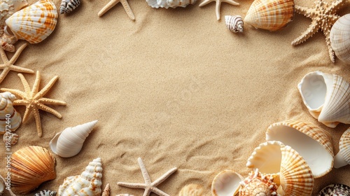 Beautiful assortment of seashells and starfish arranged on sandy beach background