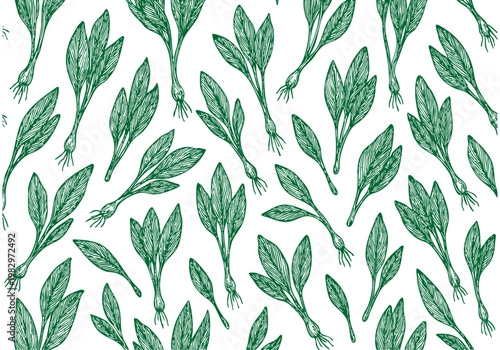 Ramps Wild Leek Hand Drawn Sketch, Spring Foraging Harvest Vector Illustration Isolated
