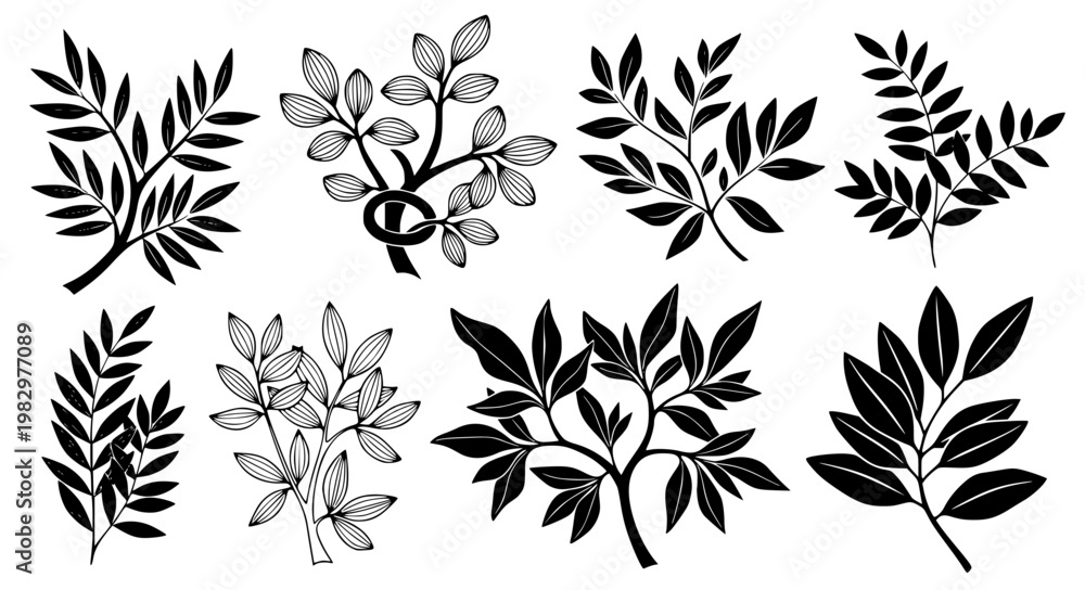 Fototapeta premium Botanical Leaves Vector – Stem & Plant Variation Set