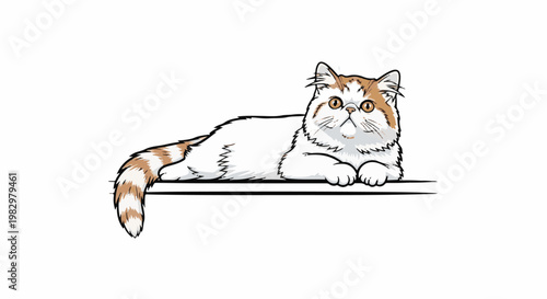A fluffy cat with white and brown fur reclines on a flat surface