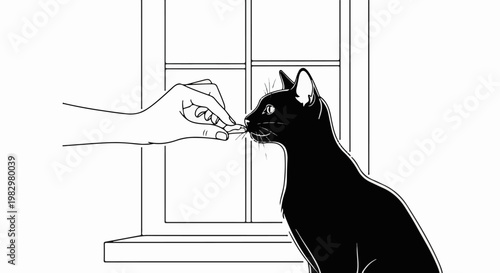 A hand offering a treat to a black cat by a window