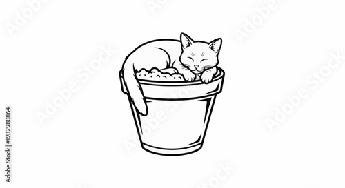 A cute, curled-up kitten sleeps peacefully inside a potted plant