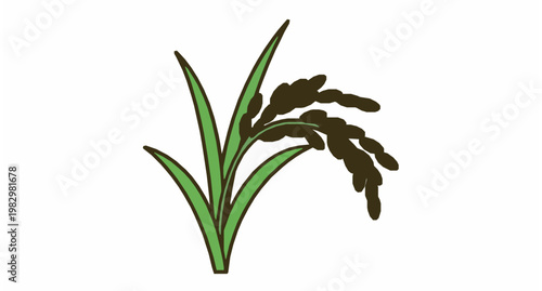 Flat design rice plant vector with golden grains and green leaves for agriculture infographic isolated on white
