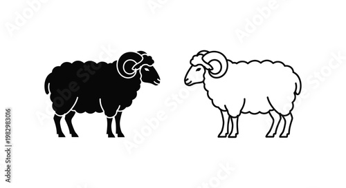 Minimalist ram sheep vector icons, black and white sheep silhouette and line art set, farm animal logo design elements for agriculture branding