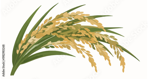 Decorative rice stalks vector illustration with golden grains and elegant green leaves isolated on white