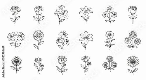 A collection of hand-drawn flower illustrations in a sketchbook style