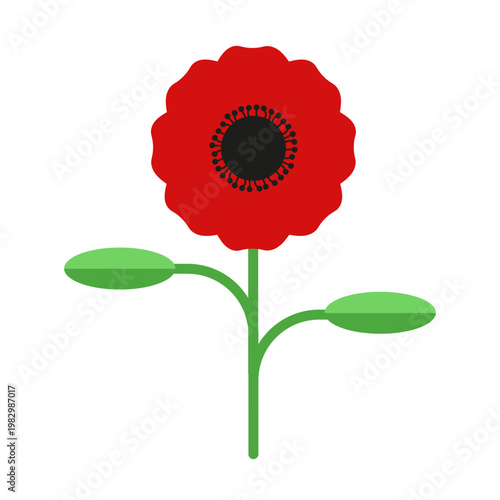 Beautiful vector Poppy Flower with green leaves isolated transparent background. Red Summer flower png design. Perfect for nature spring art concept. Editable stroke EPS 10