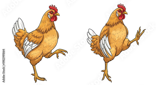 Funny Chicken Dancing and Walking, Isolated on White Background