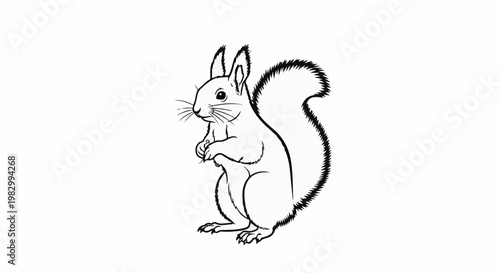 A black and white sketch of a squirrel holding a nut