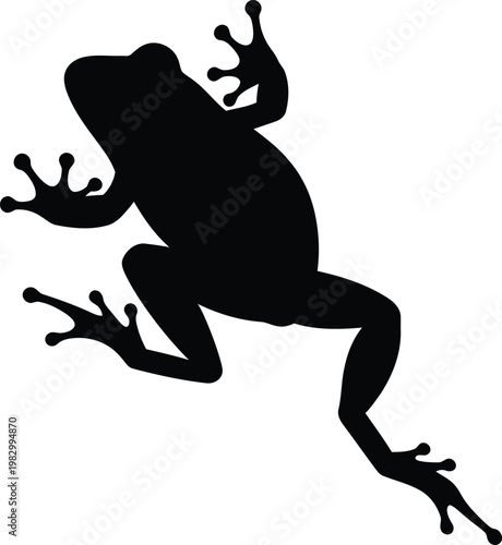 Minimalist silhouette of a small exotic tropical tree frog vector illustration