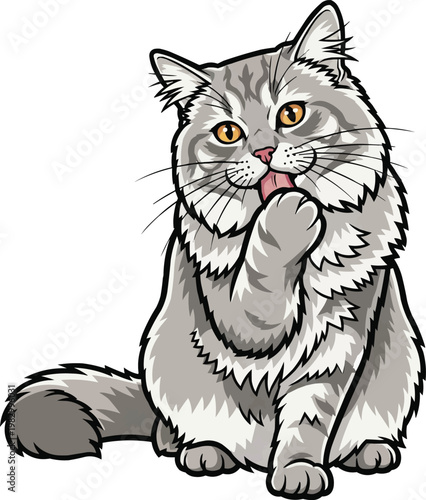 British Longhair cat sitting licking paw grooming vector illustration