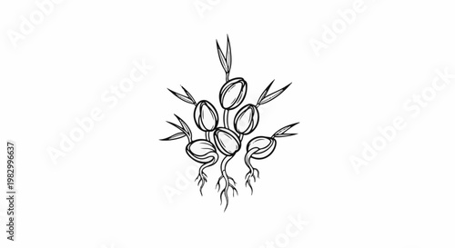 A cluster of bean sprouts with visible roots and leaves, rendered in black and white