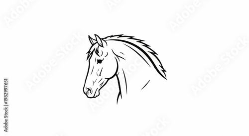 A striking line art sketch of a horse's noble head in profile