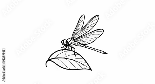 Detailed line art illustration of a dragonfly perched on a leaf