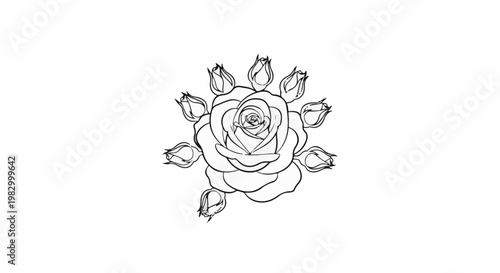 Black and white sketch of a rose surrounded by buds on a plain background