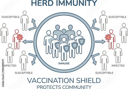 Herd immunity vaccination shield infographic medical line art vector illustration