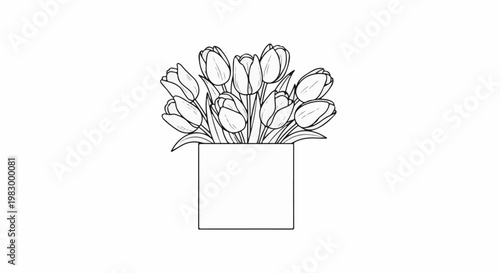 Outline of a bouquet of tulips in a square vase