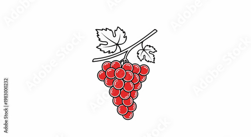 Red grapes with vine and leaves, a simple illustration