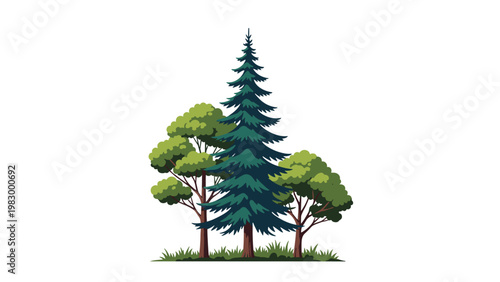 Composition of three different green trees including a tall evergreen pine and two deciduous trees on a white background.