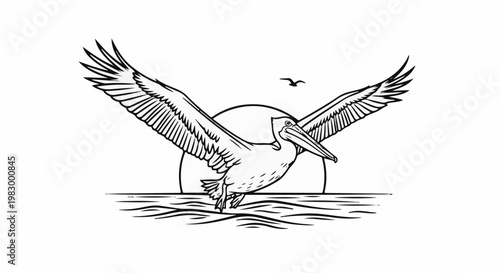 A majestic pelican soars over rippling water at sunset