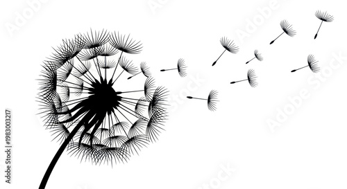 Black silhouette of a dandelion seed head with seeds blowing in the wind