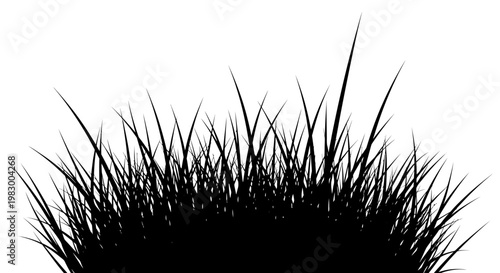 Silhouette of tall grass blades against a white background