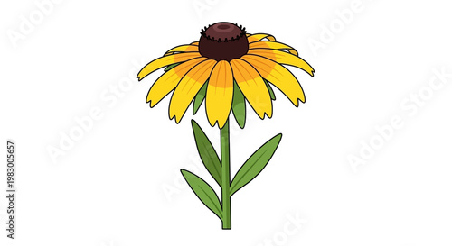 Illustration of a Yellow Black-Eyed Susan Flower on White Background