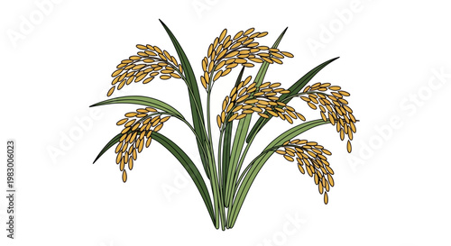 Illustration of a rice plant with golden grains on white background